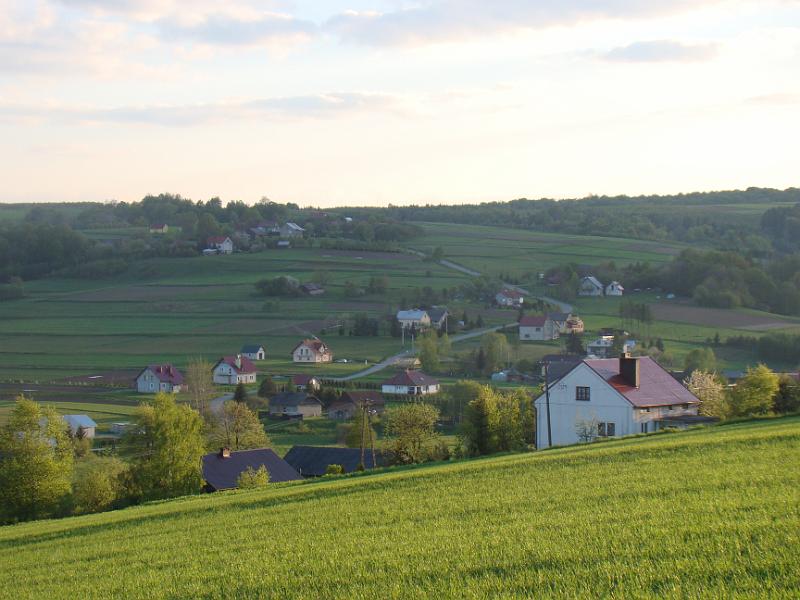 DSC04344