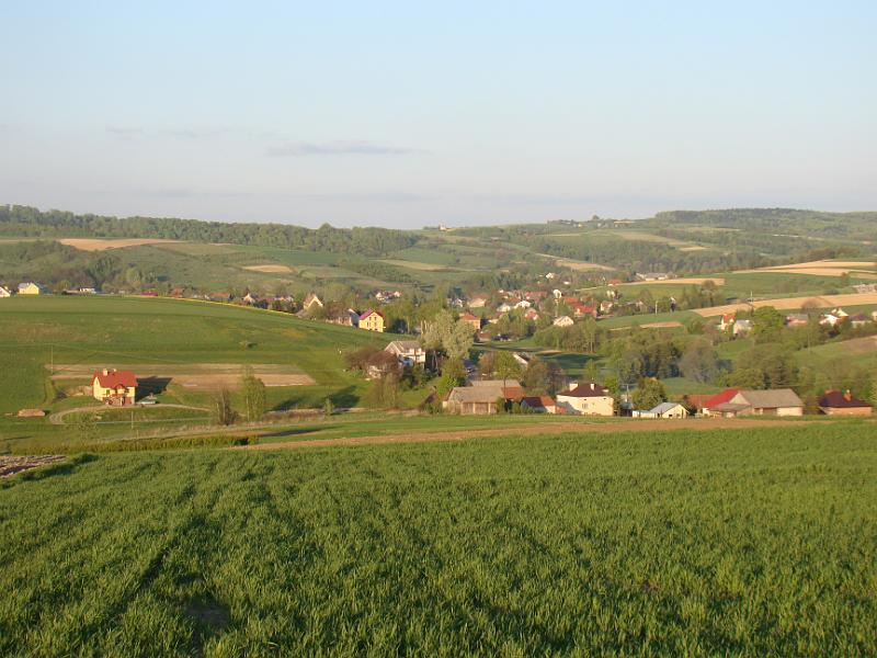 DSC04348