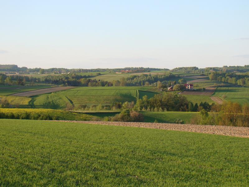 DSC04349