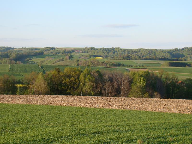 DSC04350