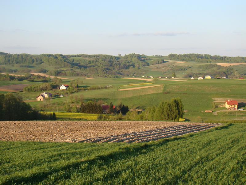 DSC04351