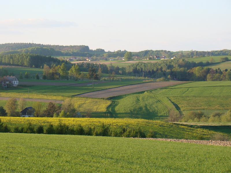 DSC04352