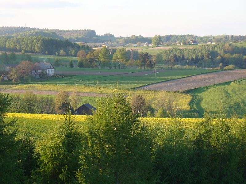 DSC04354