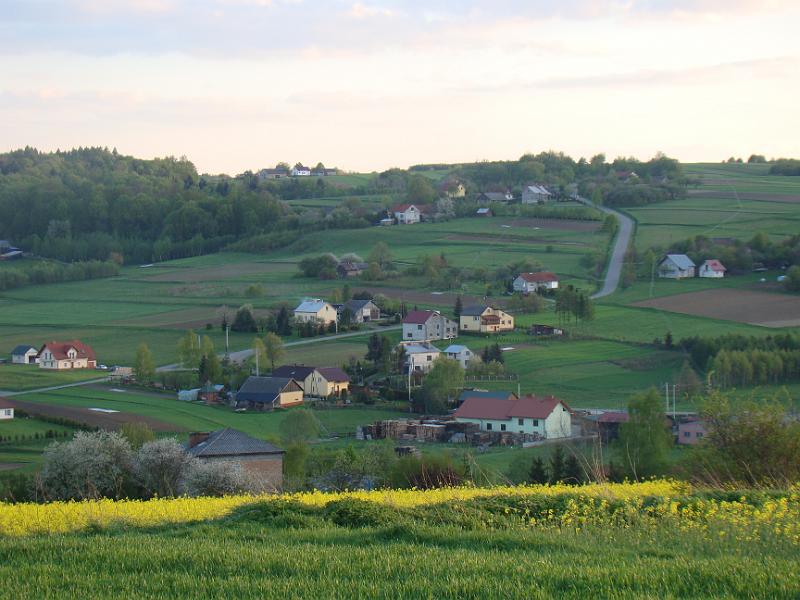 DSC04363