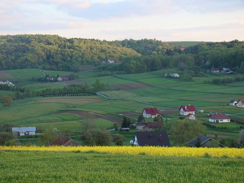 DSC04364