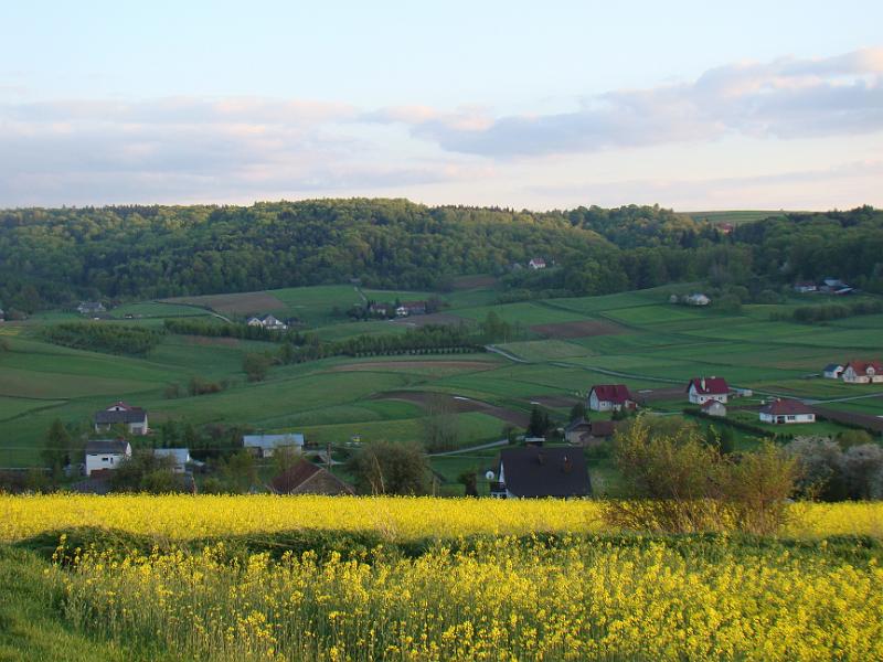 DSC04365