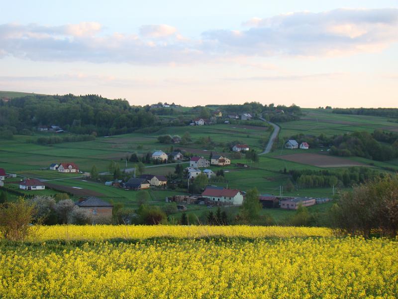 DSC04366