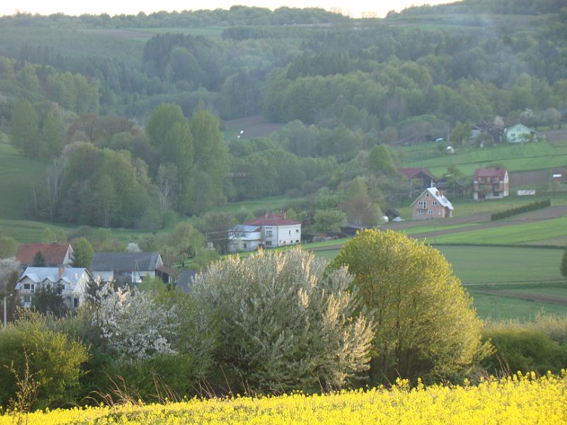 DSC04370