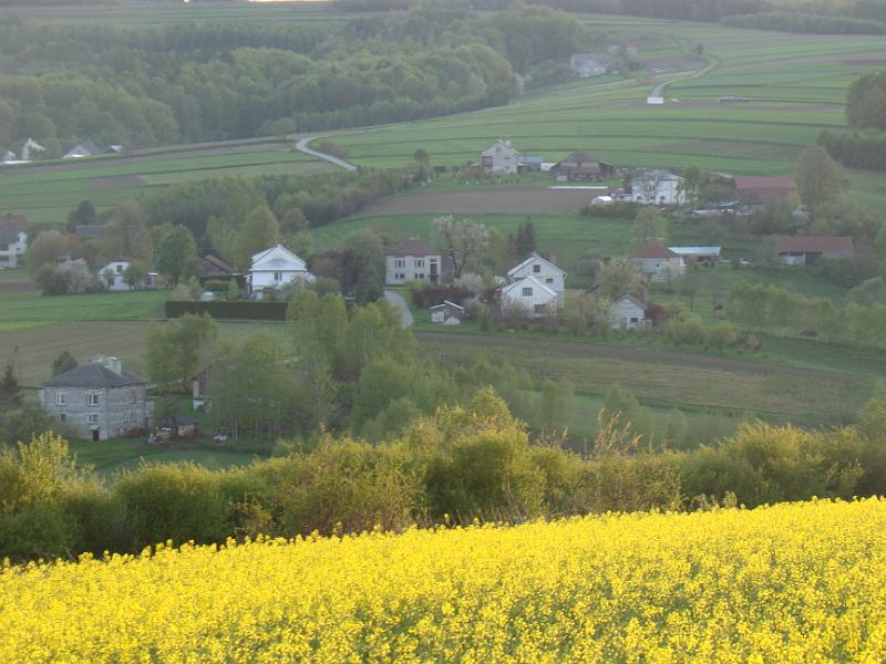 DSC04371