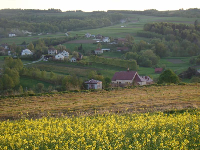 DSC04377