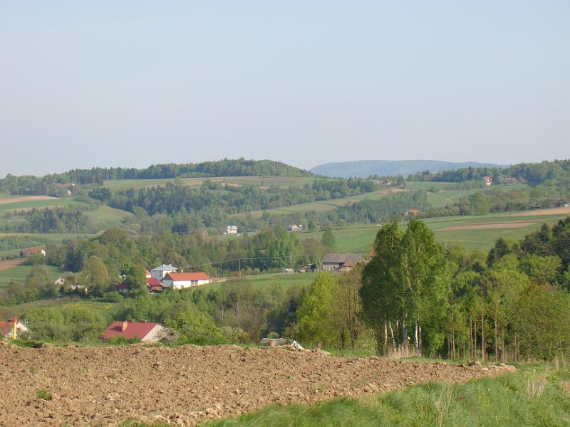 DSC04392