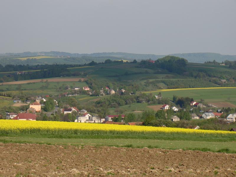 DSC04394