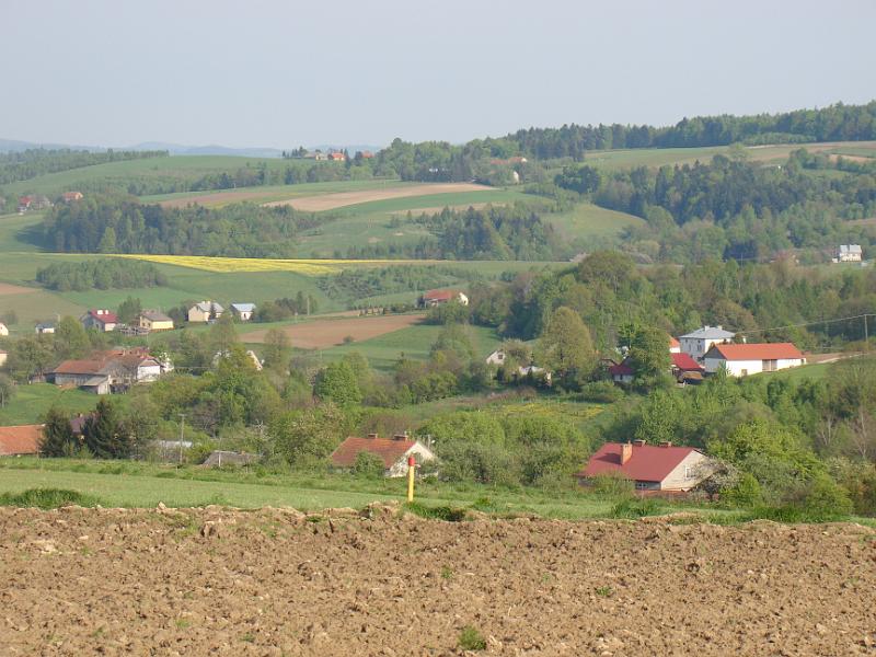 DSC04395