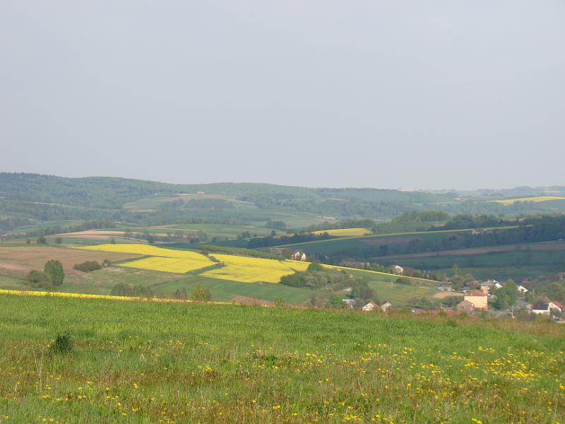 DSC04396