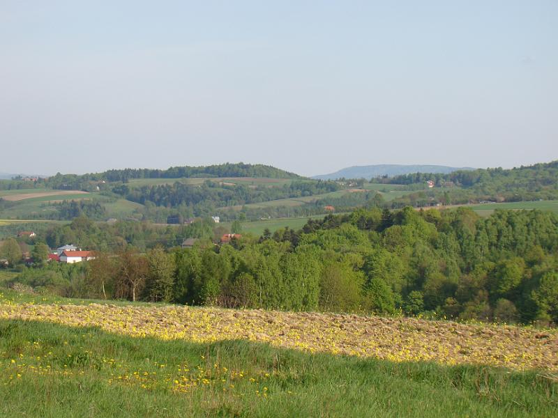 DSC04397