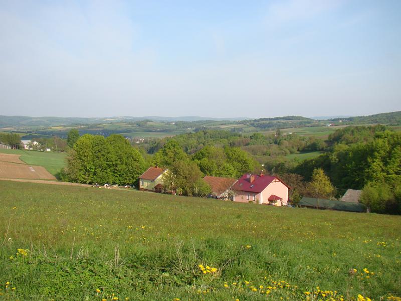 DSC04399