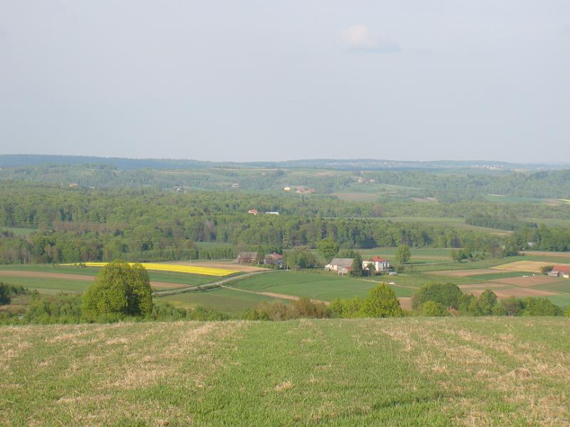 DSC04403