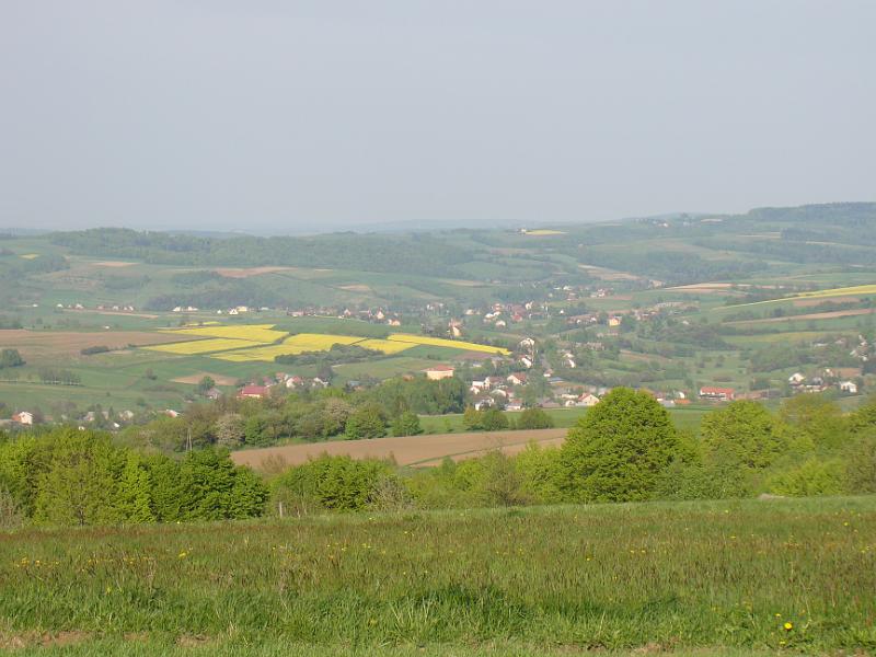 DSC04404