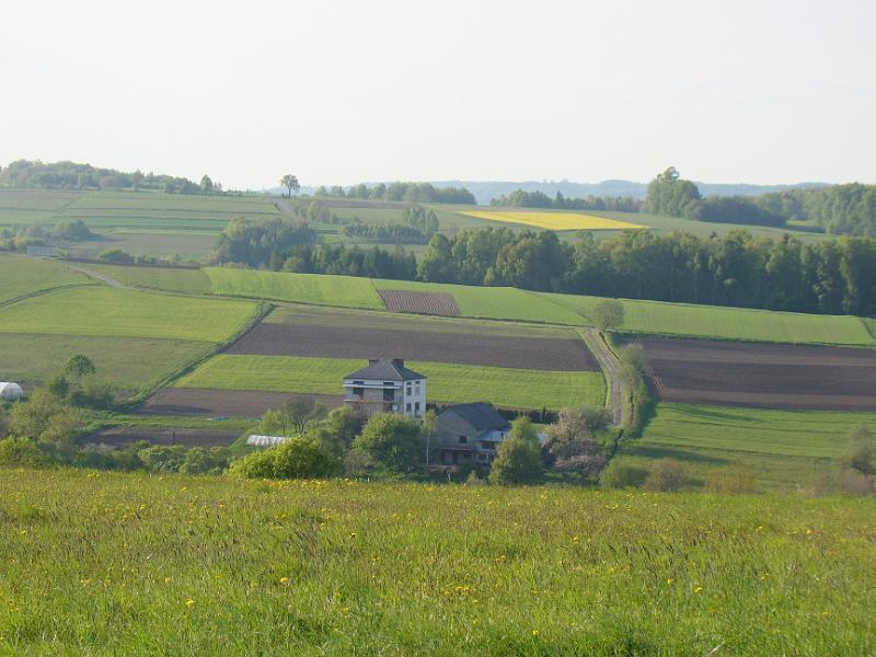 DSC04416