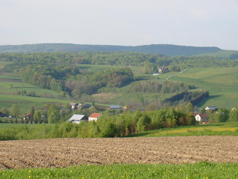 DSC04417