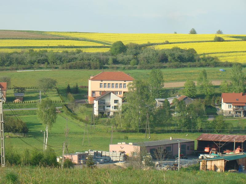 DSC04419