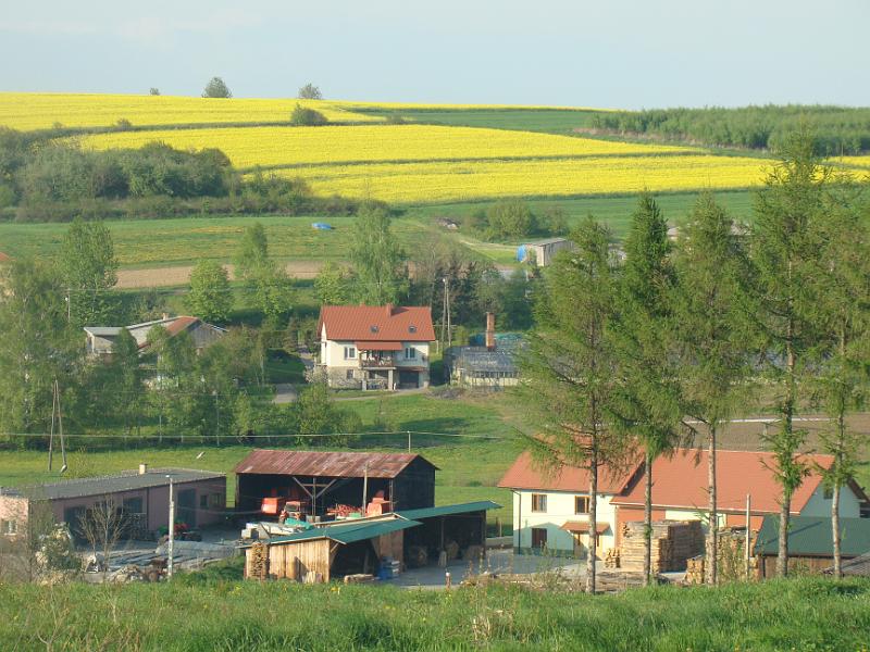 DSC04420