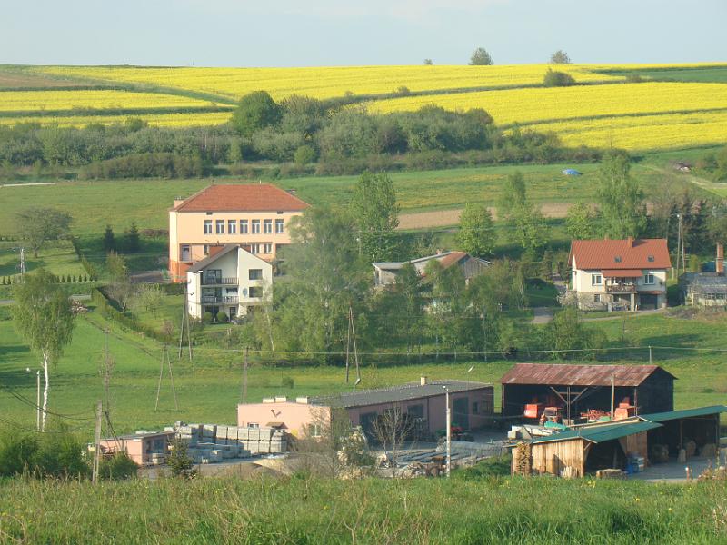 DSC04421