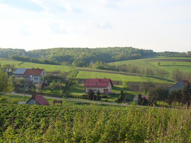 DSC04428