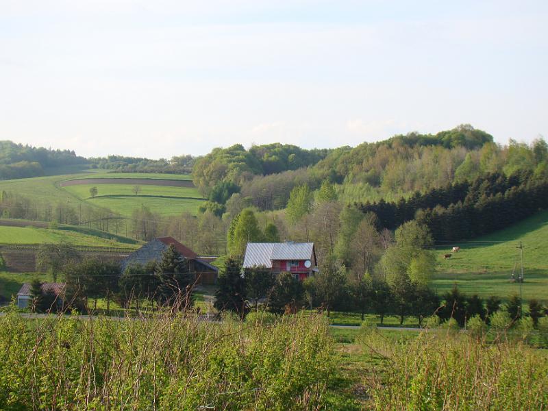 DSC04429