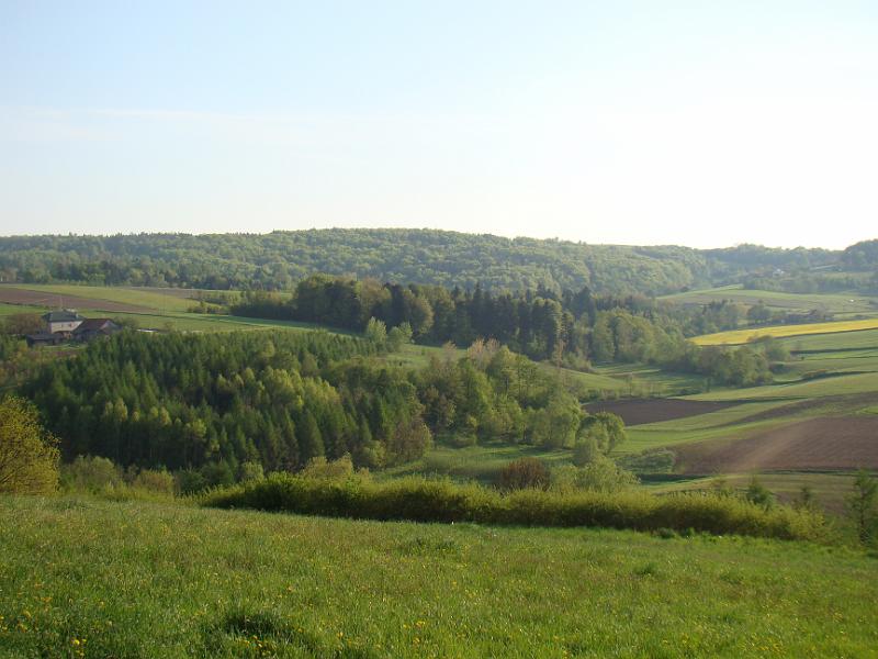 DSC04432