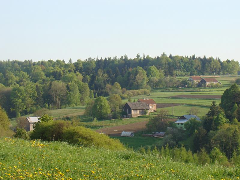 DSC04435
