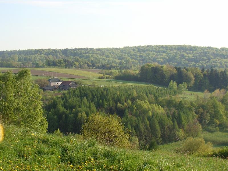 DSC04436