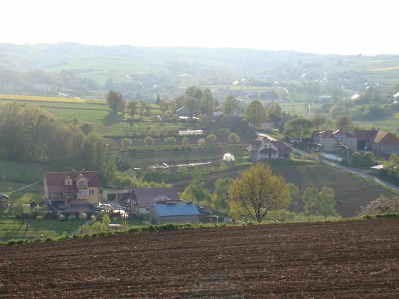 DSC04437