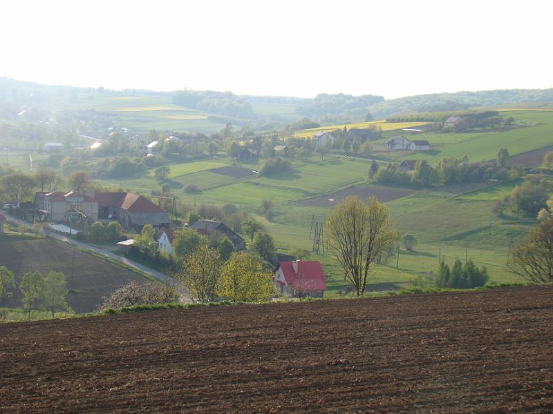 DSC04438