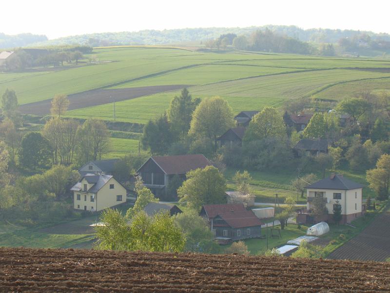 DSC04439