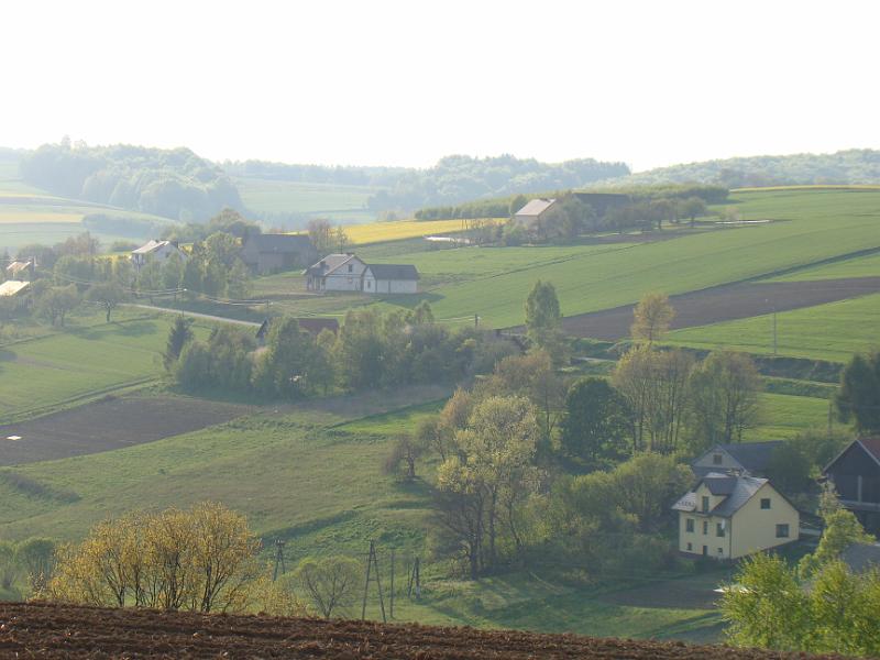DSC04440