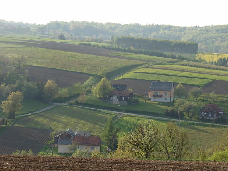 DSC04441