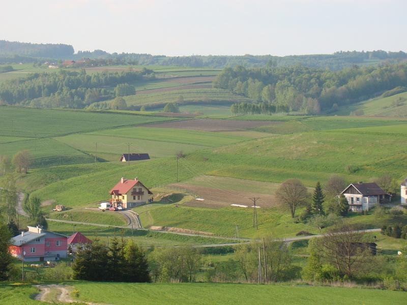 DSC04443