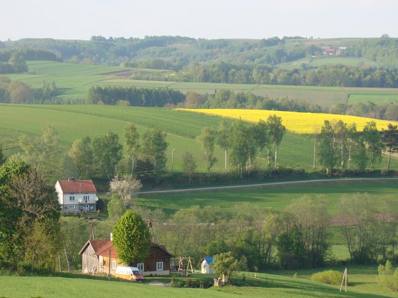 DSC04444