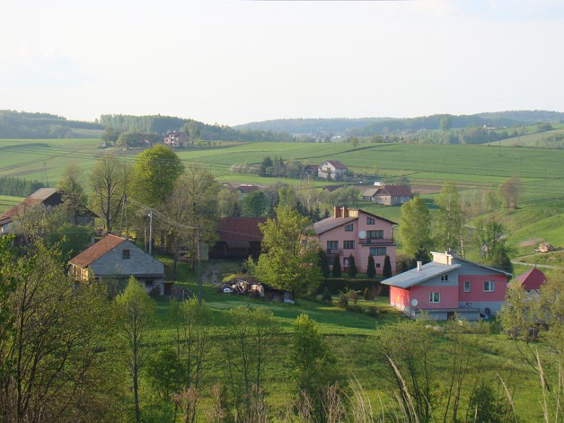DSC04446