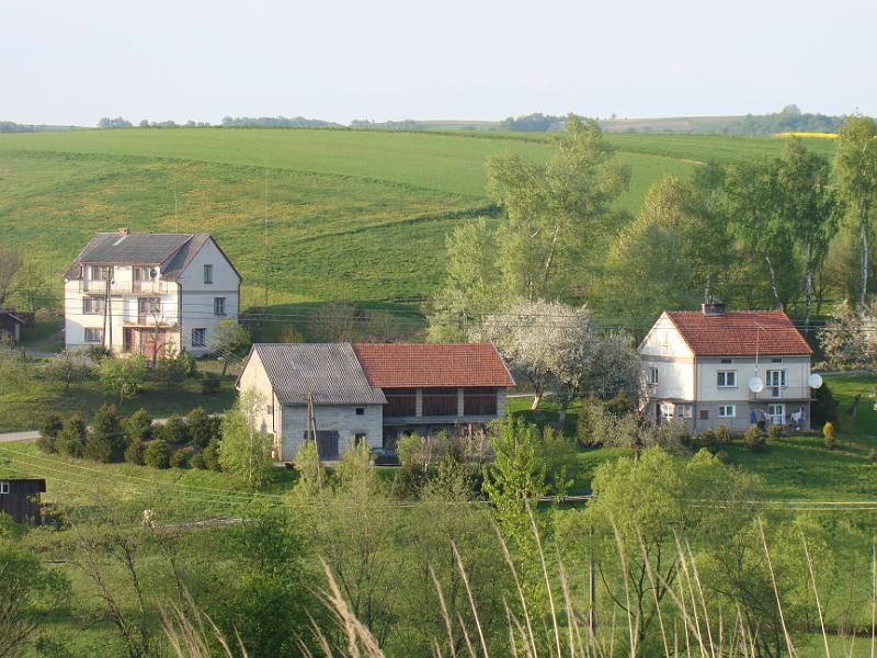 DSC04447