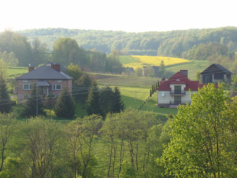 DSC04449