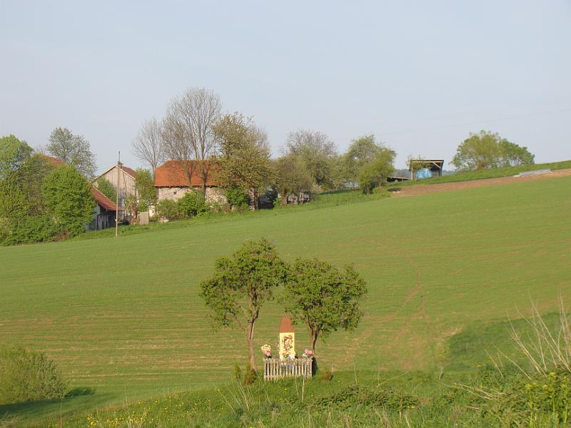 DSC04453