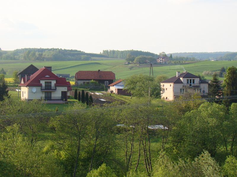 DSC04454