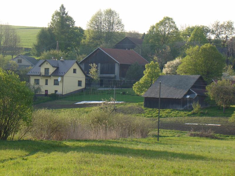DSC04463