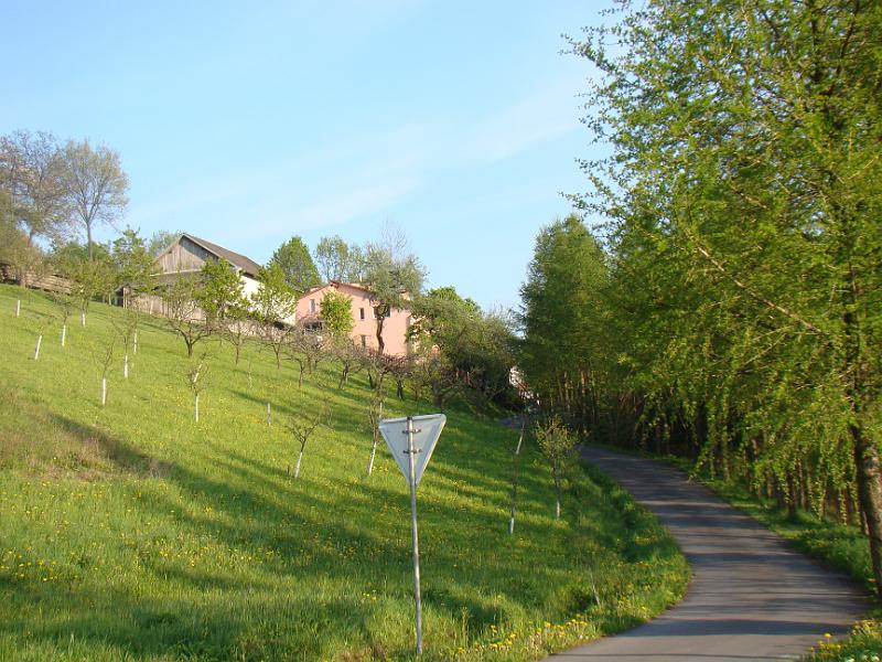DSC04465