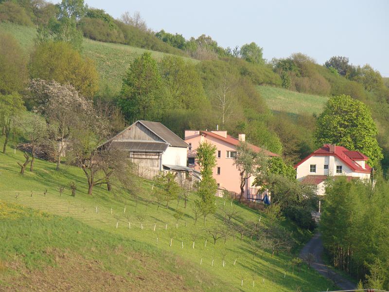 DSC04474