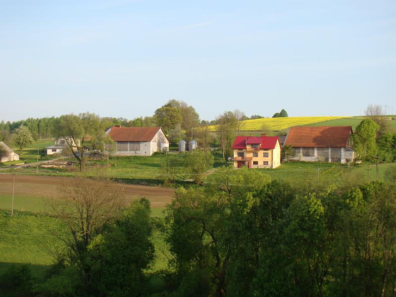 DSC04475