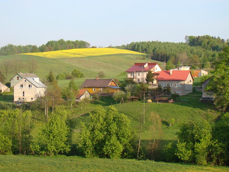 DSC04477
