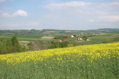 DSC04272